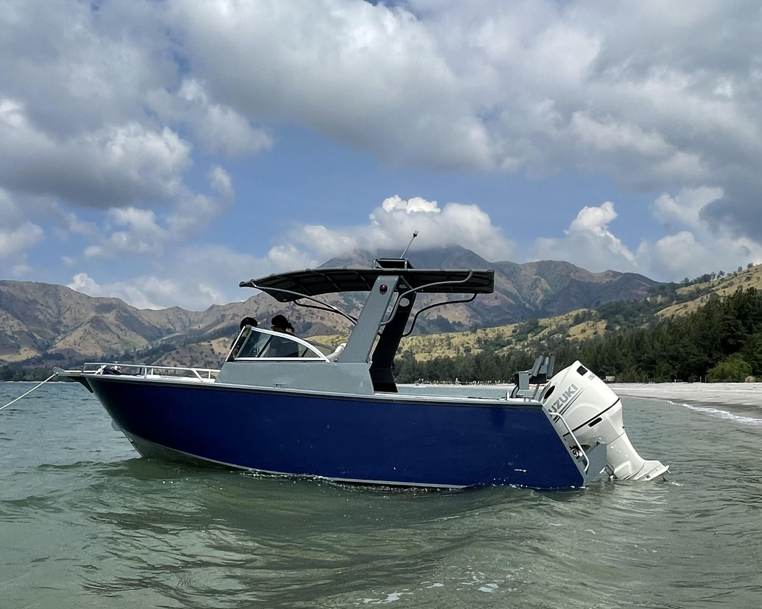 Boat for sale - Bay Marine Subic